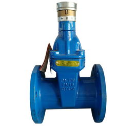 閥門(mén)技術(shù)水平發(fā)展現(xiàn)狀解析